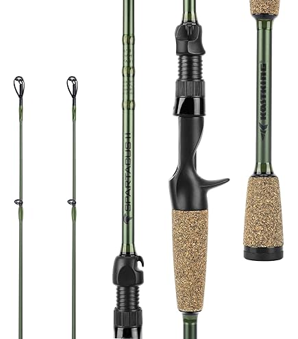 Amazon.com : Daiwa AIRX702MHFB Aird-X 10-20 lb Test Rod, Black